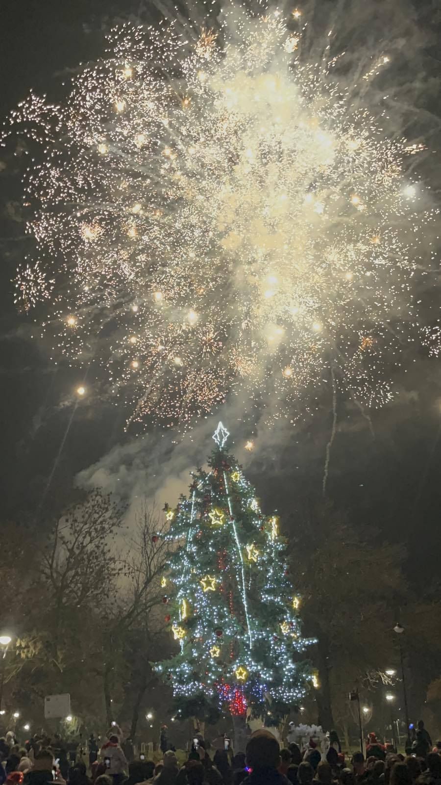 Запалване светлините на Коледното дърво 2025 13